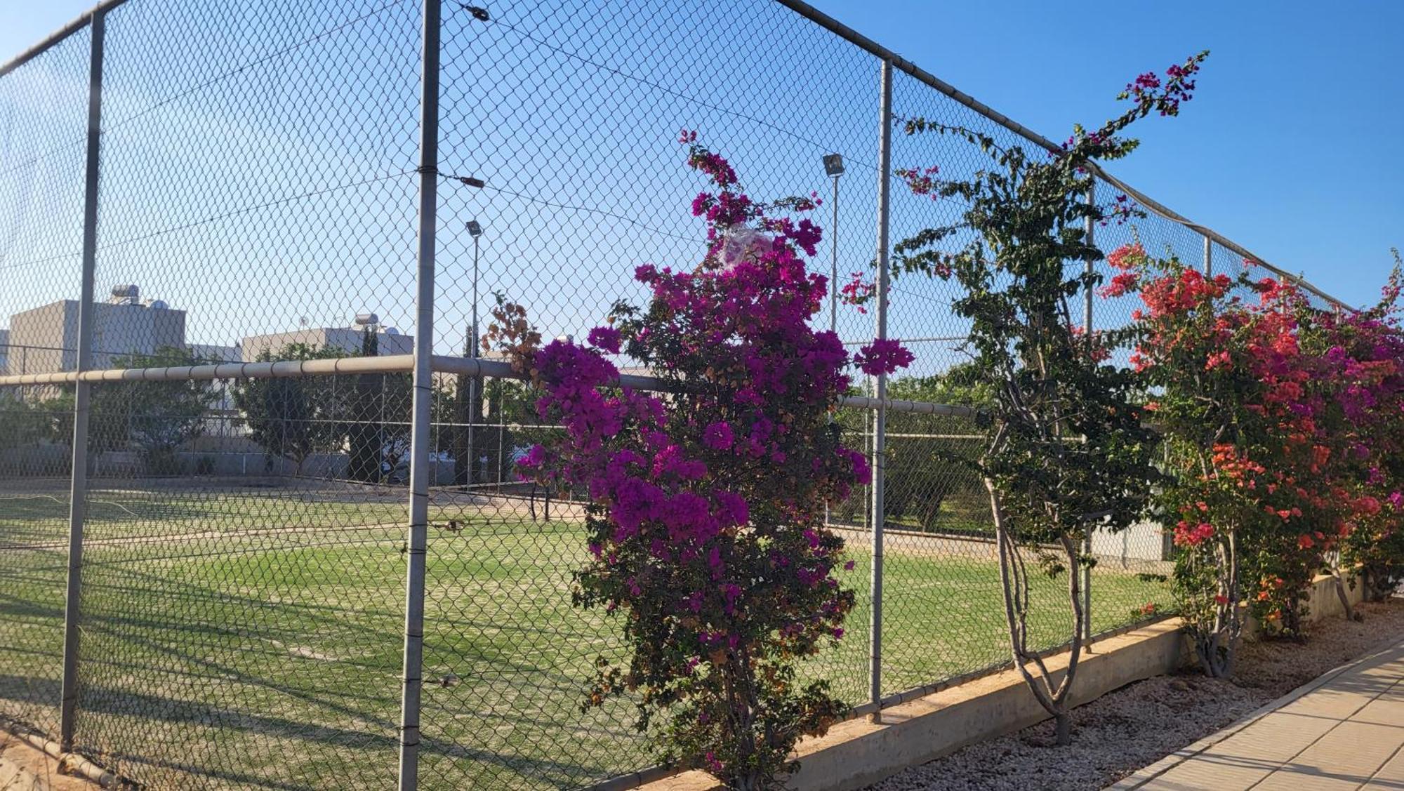 Mythical Sands Resort - Hana Paralimni Kamer foto